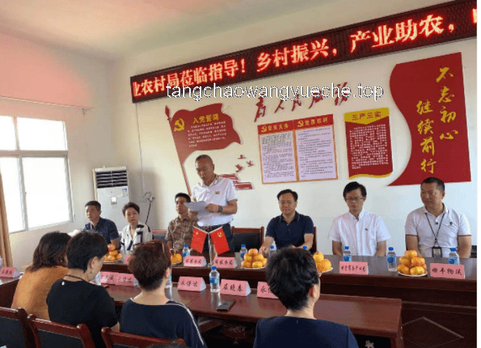 乡村助教新视角：透视10后小学生的教育现状与挑战