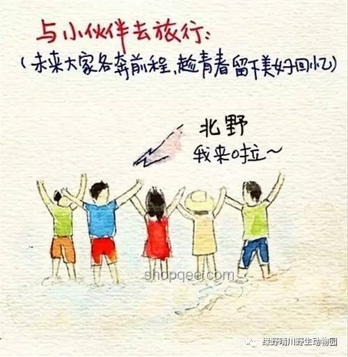 高考结束后最想做的事：解锁人生新篇章